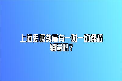 上海思源教育有一对一的课程辅导吗？ 