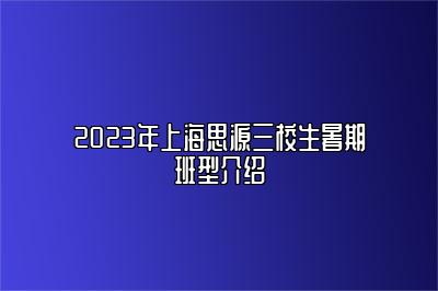 2023年上海思源三校生暑期班型介绍 