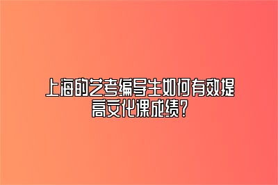 上海的艺考编导生如何有效提高文化课成绩？