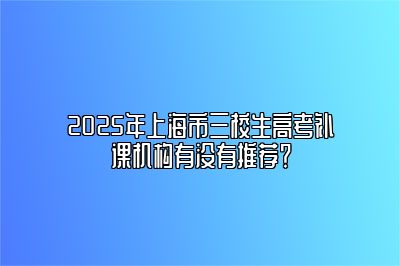 2025年上海市三校生高考补课机构有没有推荐？ 